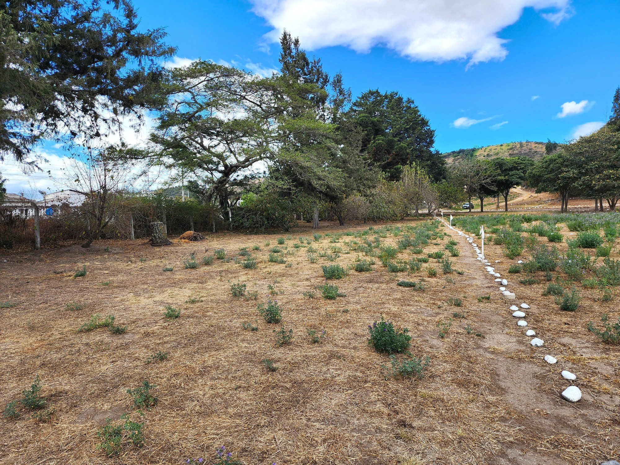 Terrenos en Guayllabamba | Comercial 16A Terrenos en Guayllabamba