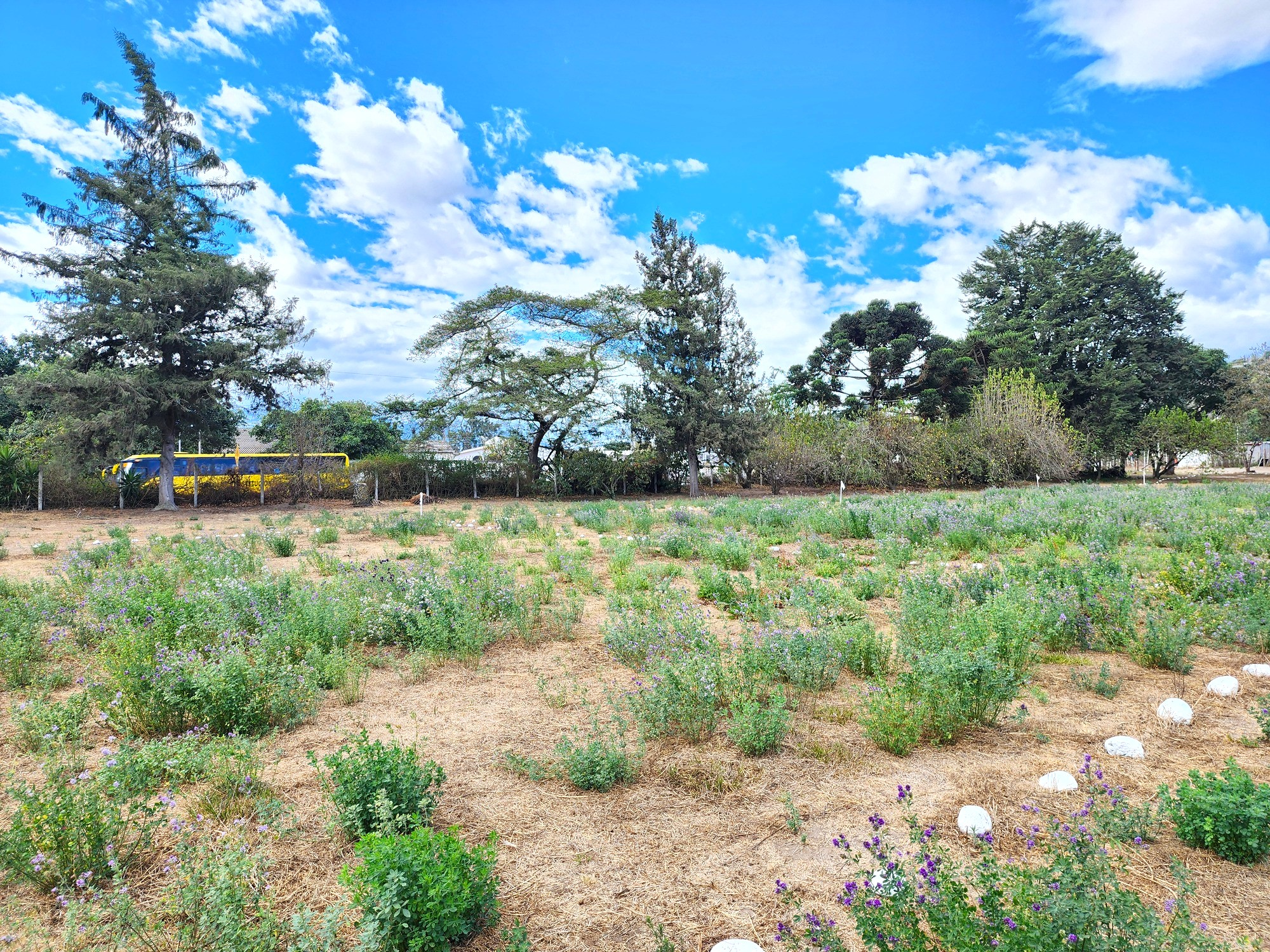 Terrenos en Guayllabamba | Comercial 16A Terrenos en Guayllabamba