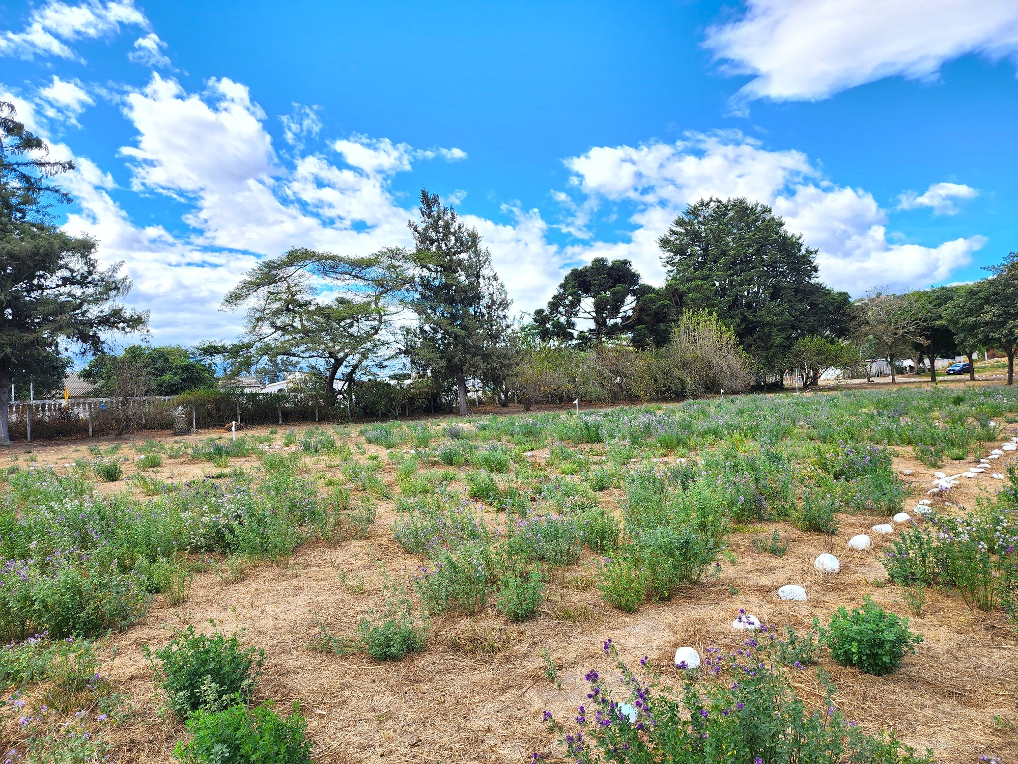 Terrenos en Guayllabamba | Comercial 16A Terrenos en Guayllabamba