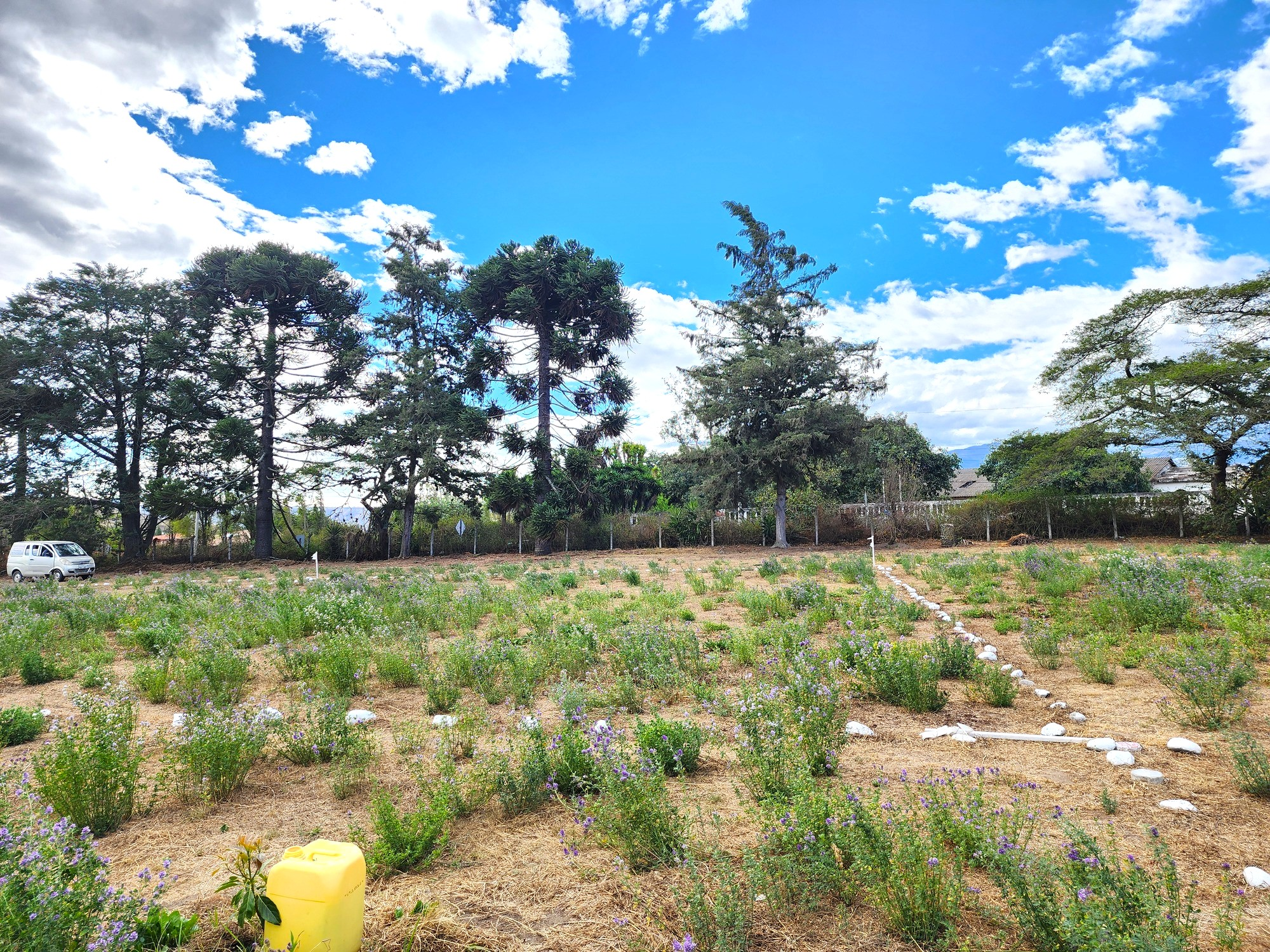 Terrenos en Guayllabamba | Comercial 16A Terrenos en Guayllabamba