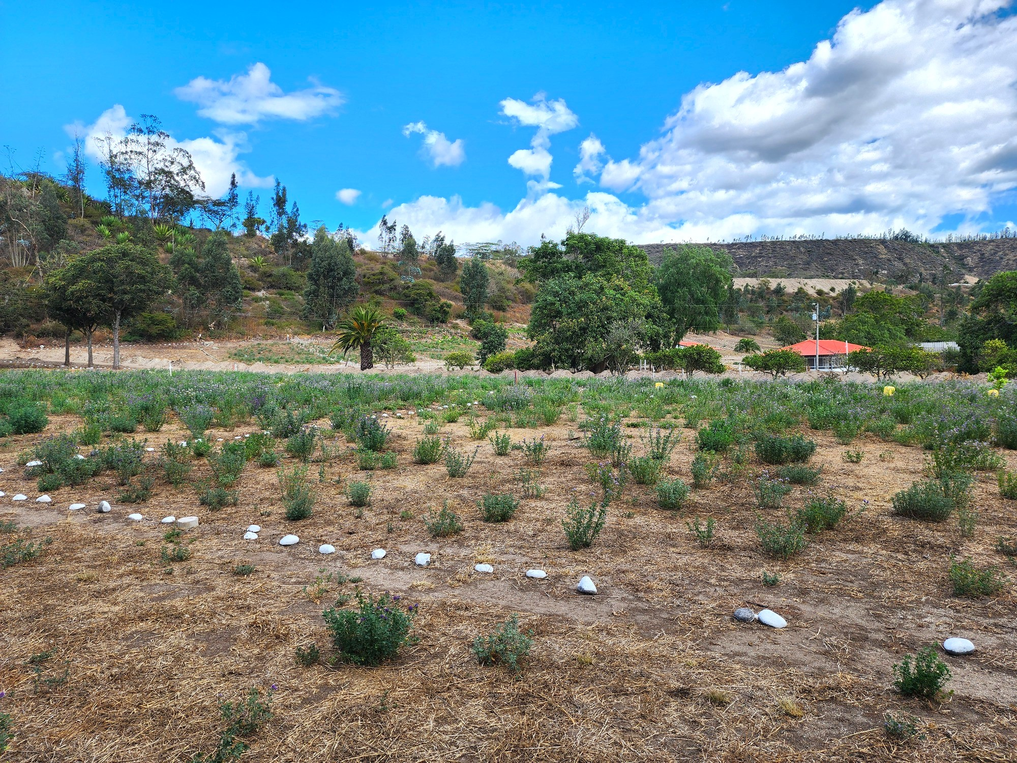 Terrenos en Guayllabamba | Comercial 16A terreno 16a