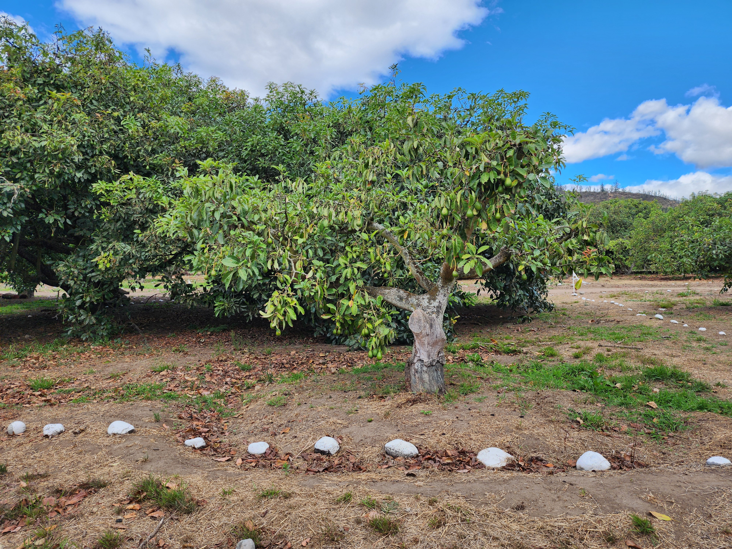 Terrenos en Guayllabamba | Residencial 207B Terrenos en Guayllabamba