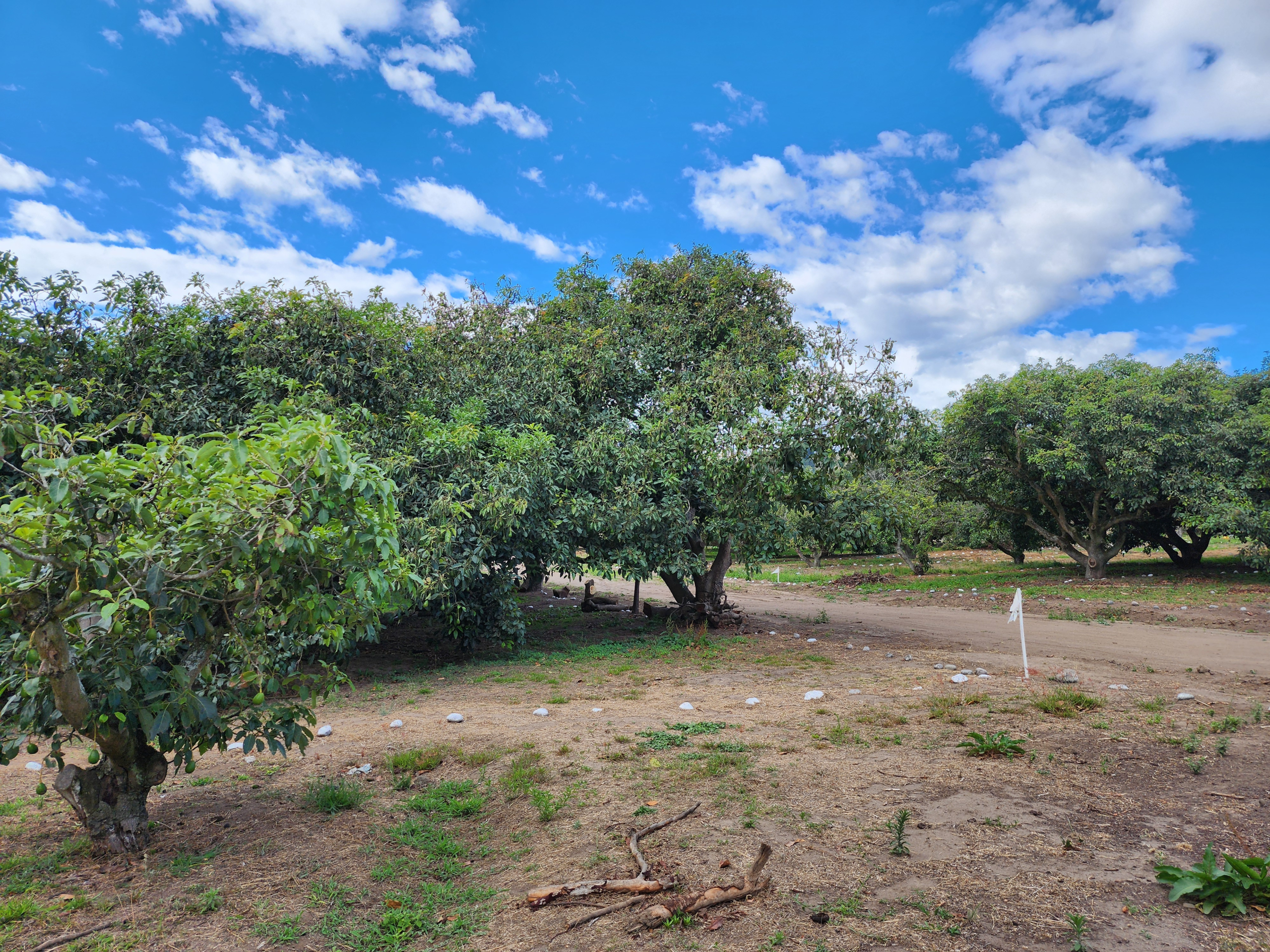 Terrenos en Guayllabamba | Residencial 207B Terrenos en Guayllabamba