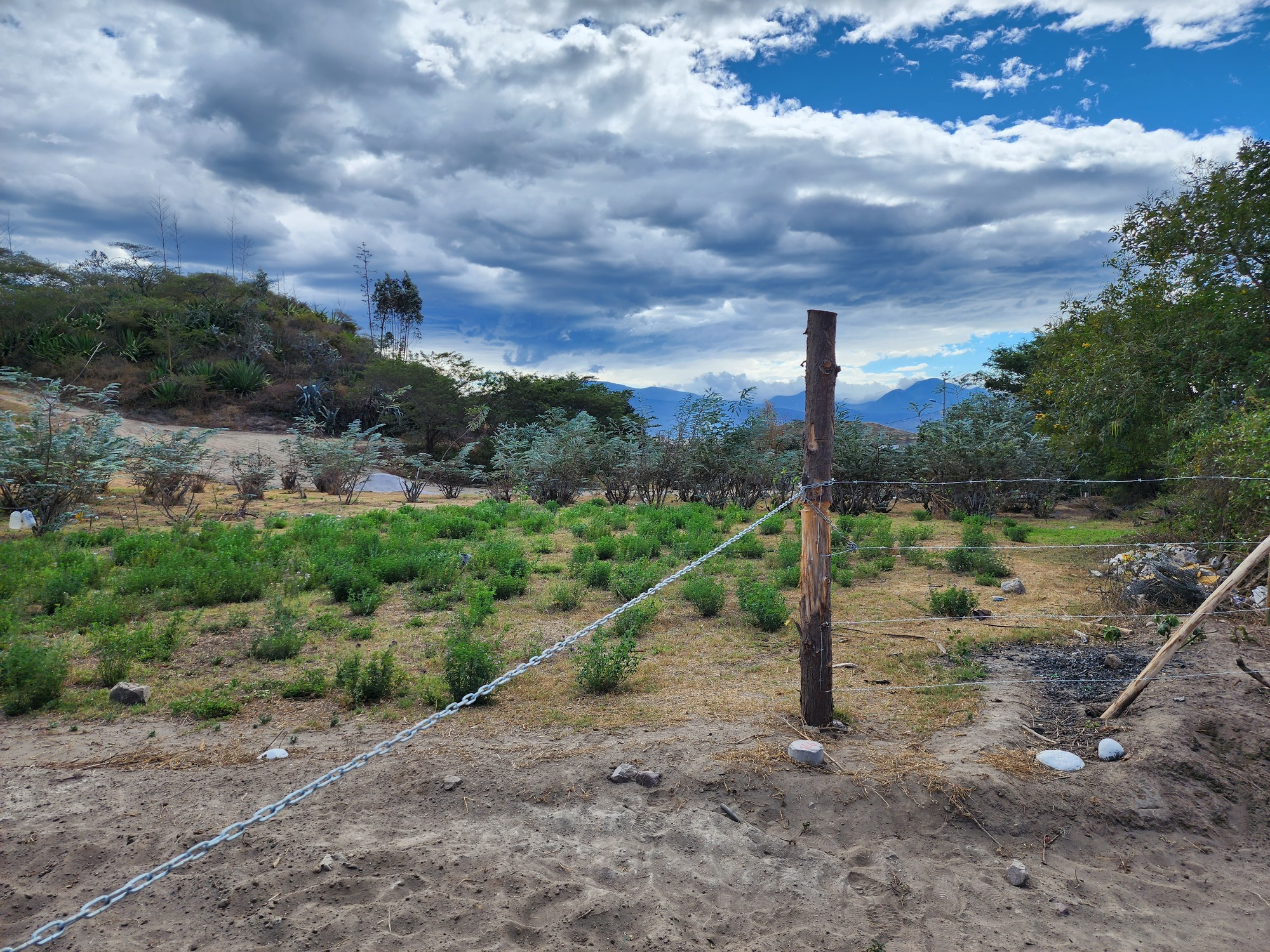 Terrenos en Guayllabamba | Comercial 166 Terrenos en Guayllabamba